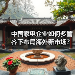 中国家电企业如何多管齐下布局海外新市场?(图4) 中国家电企业如何多管齐下布局海外新市场?(图4)