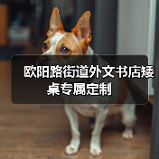 欧阳路街道外文书店矮桌专属定制(图2) 欧阳路街道外文书店矮桌专属定制(图2)