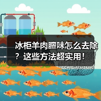 冰柜羊肉膻味怎么去除？这些方法超实用！