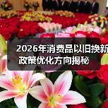 2026年消费品以旧换新政策优化方向揭秘(图3) 2026年消费品以旧换新政策优化方向揭秘(图3)