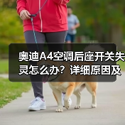 奥迪A4空调后座开关失灵怎么办?详细原因及解决方法解析(图4) 奥迪A4空调后座开关失灵怎么办?详细原因及解决方法解析(图4)