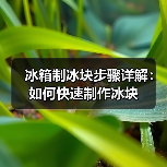冰箱制冰块步骤详解:如何快速制作冰块(图4) 冰箱制冰块步骤详解:如何快速制作冰块(图4)