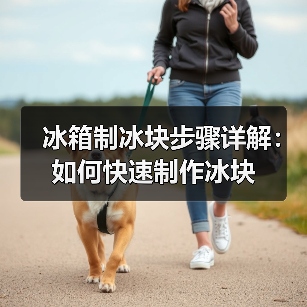 冰箱制冰块步骤详解:如何快速制作冰块(图3) 冰箱制冰块步骤详解:如何快速制作冰块(图3)