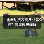 全自动洗衣机尺寸怎么选？容量规格详解