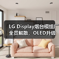LG Display烟台模组厂全员解散,OLED升级推动产业转移(图3) LG Display烟台模组厂全员解散,OLED升级推动产业转移(图3)