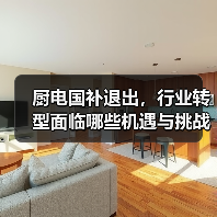 厨电国补退出,行业转型面临哪些机遇与挑战?(图2) 厨电国补退出,行业转型面临哪些机遇与挑战?(图2)