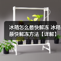 冰箱怎么最快解冻 冰箱最快解冻方法【详解】(图3) 冰箱怎么最快解冻 冰箱最快解冻方法【详解】(图3)