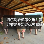 海尔洗衣机怎么选?智能节能多功能优势解析(图4) 海尔洗衣机怎么选?智能节能多功能优势解析(图4)