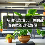 从简化到增长：美的战略转型的进化路径