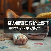 格力能否在铜价上涨下重夺行业主动权?(图3) 格力能否在铜价上涨下重夺行业主动权?(图3)