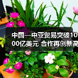 中国—中亚贸易突破1000亿美元 合作再创新高(图4) 中国—中亚贸易突破1000亿美元 合作再创新高(图4)