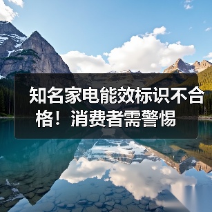 知名家电能效标识不合格!消费者需警惕(图3) 知名家电能效标识不合格!消费者需警惕(图3)
