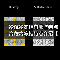 冷藏冷冻柜有哪些特点 冷藏冷冻柜特点介绍【详解】(图4) 冷藏冷冻柜有哪些特点 冷藏冷冻柜特点介绍【详解】(图4)