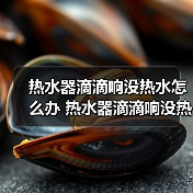 热水器滴滴响没热水怎么办 热水器滴滴响没热水处理方法【详解】