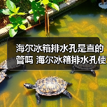 海尔冰箱排水孔是直的管吗 海尔冰箱排水孔使用方法【详解】(图3) 海尔冰箱排水孔是直的管吗 海尔冰箱排水孔使用方法【详解】(图3)