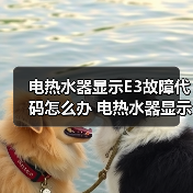 电热水器显示E3故障代码怎么办 电热水器显示E3故障代码的原因及解决方法【详解】(图4) 电热水器显示E3故障代码怎么办 电热水器显示E3故障代码的原因及解决方法【详解】(图4)