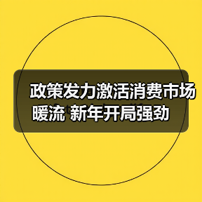 政策发力激活消费市场暖流 新年开局强劲（图3）