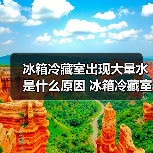冰箱冷藏室出现大量水是什么原因 冰箱冷藏室出现大量水解决方法【详解】