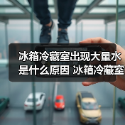 冰箱冷藏室出现大量水是什么原因 冰箱冷藏室出现大量水解决方法【详解】（图2）