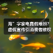 海”字家电真假难辨?虚假宣传引消费者维权(图4) 海”字家电真假难辨?虚假宣传引消费者维权(图4)