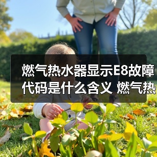 燃气热水器显示E8故障代码是什么含义 燃气热水器显示E8故障代码含义及解决方法【详解】（图3）