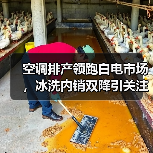 空调排产领跑白电市场，冰洗内销双降引关注