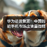 华为逆袭登顶!中国智能手机市场出货量微降(图4) 华为逆袭登顶!中国智能手机市场出货量微降(图4)