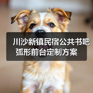 川沙新镇民宿公共书吧弧形前台定制方案（图1）