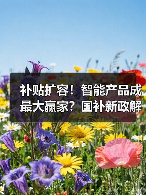 补贴扩容!智能产品成最大赢家?国补新政解读(图4) 补贴扩容!智能产品成最大赢家?国补新政解读(图4)