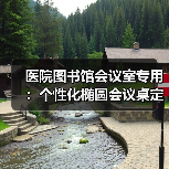 医院图书馆会议室专用：个性化椭圆会议桌定制服务