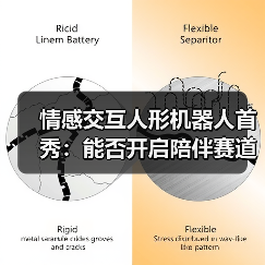 情感交互人形机器人首秀:能否开启陪伴赛道新纪元?(图2) 情感交互人形机器人首秀:能否开启陪伴赛道新纪元?(图2)