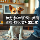 算力博弈新阶段:美国调整H200芯片出口政策,中国如何应对?(图4) 算力博弈新阶段:美国调整H200芯片出口政策,中国如何应对?(图4)