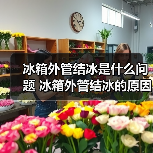 冰箱外管结冰是什么问题 冰箱外管结冰的原因及解决方法【详解】（图3）
