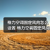 格力空调固定风向怎么设置 格力空调固定风向设置方法【详解】(图3) 格力空调固定风向怎么设置 格力空调固定风向设置方法【详解】(图3)