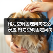格力空调固定风向怎么设置 格力空调固定风向设置方法【详解】(图4) 格力空调固定风向怎么设置 格力空调固定风向设置方法【详解】(图4)