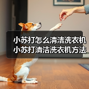 小苏打怎么清洁洗衣机 小苏打清洁洗衣机方法【详解】