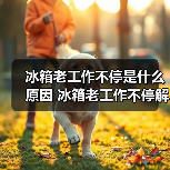 冰箱老工作不停是什么原因 冰箱老工作不停解决方法【详解】(图3) 冰箱老工作不停是什么原因 冰箱老工作不停解决方法【详解】(图3)