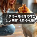 揭秘热水器插头烫手是怎么回事 揭秘热水器插头烫手的原因及解决方法【详解】（图2）