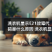 洗衣机显示E21故障代码是什么原因 洗衣机显示E21故障代码解决方法【详解】(图2) 洗衣机显示E21故障代码是什么原因 洗衣机显示E21故障代码解决方法【详解】(图2)