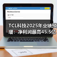 TCL科技2025年业绩预增：净利润最高45.5亿元，同比增长191%（图4）