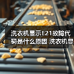 洗衣机显示E21故障代码是什么原因 洗衣机显示E21故障代码解决方法【详解】(图4) 洗衣机显示E21故障代码是什么原因 洗衣机显示E21故障代码解决方法【详解】(图4)