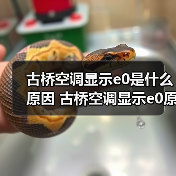 古桥空调显示e0是什么原因 古桥空调显示e0原因分析【详解】