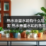 热水壶里水垢有什么危害 热水壶里水垢的危害及去除方法【详解】(图4) 热水壶里水垢有什么危害 热水壶里水垢的危害及去除方法【详解】(图4)