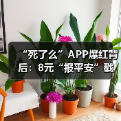 “死了么”APP爆红背后：8元“报平安”戳中亿级独居焦虑