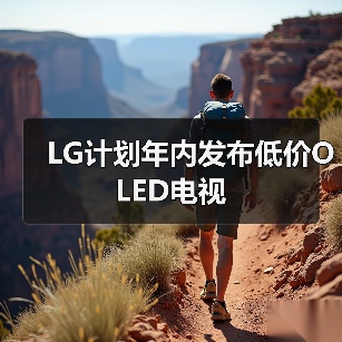 LG计划年内发布低价OLED电视