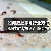 如何把握家电行业万亿即时零售机遇？峰会揭秘关键策略（图4）