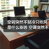 空调突然不制冷只吹风是什么原因 空调突然不制冷只吹风解决办法【详解】(图4) 空调突然不制冷只吹风是什么原因 空调突然不制冷只吹风解决办法【详解】(图4)