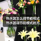 热水器怎么调节能模式 热水器调节能模式的方法【详解】