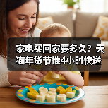 家电买回家要多久？天猫年货节推4小时快送服务