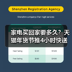 家电买回家要多久？天猫年货节推4小时快送服务（图2）